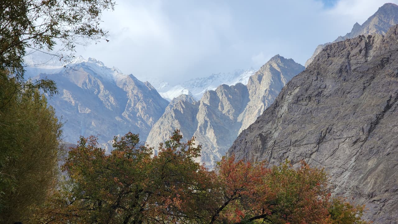 Autumn trees against the Ladakhi mountains